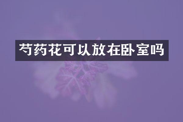 芍药花可以放在卧室吗