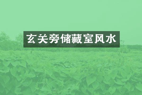 玄关旁储藏室风水