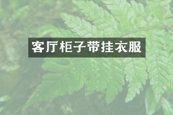 客厅柜子带挂衣服