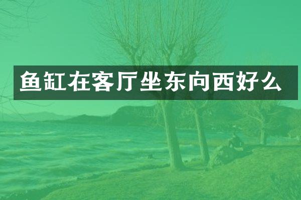 鱼缸在客厅坐东向西好么