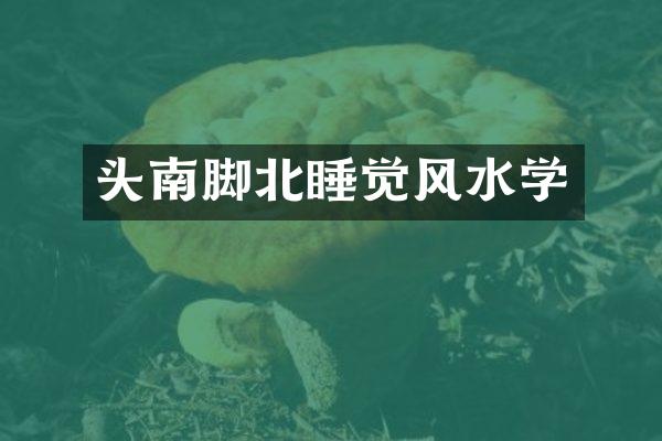 头南脚北睡觉风水学