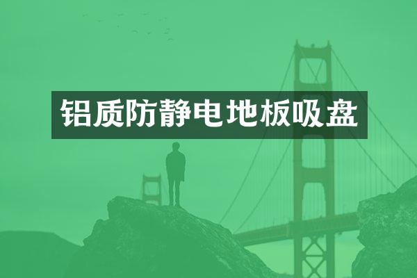 铝质防静电地板吸盘