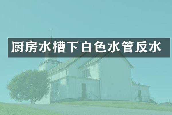厨房水槽下白色水管反水