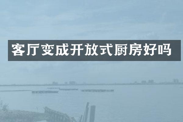 客厅变成开放式厨房好吗