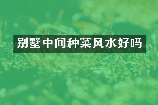 别墅中间种菜风水好吗