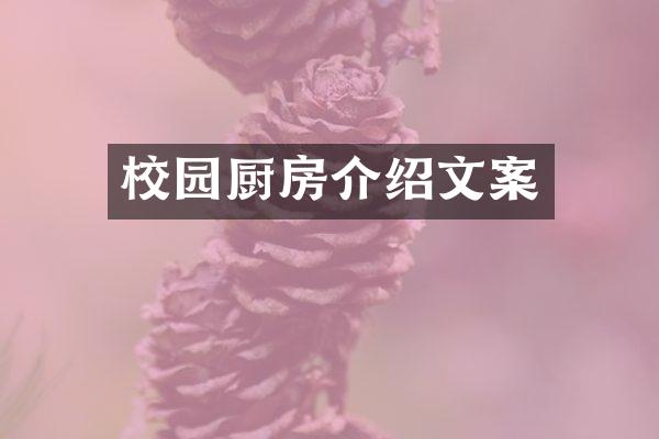 校园厨房介绍文案