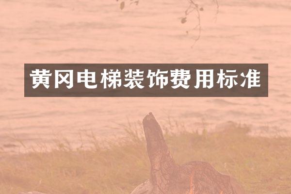 黄冈电梯装饰费用标准