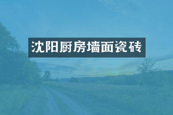 沈阳厨房墙面瓷砖