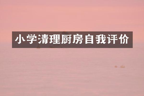 小学清理厨房自我评价