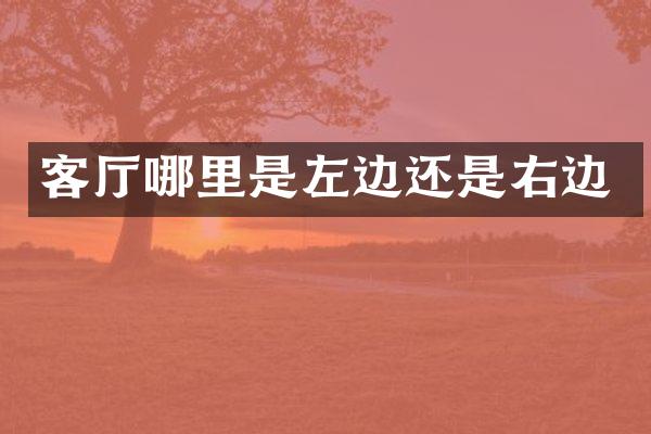 客厅哪里是左边还是右边