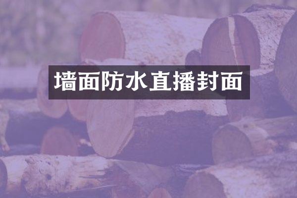 墙面防水直播封面