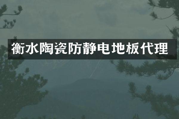 衡水陶瓷防静电地板代理