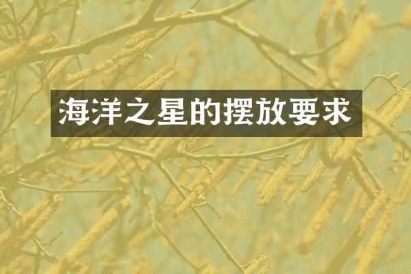 海洋之星的摆放要求