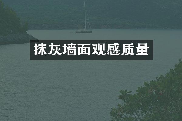 抹灰墙面观感质量