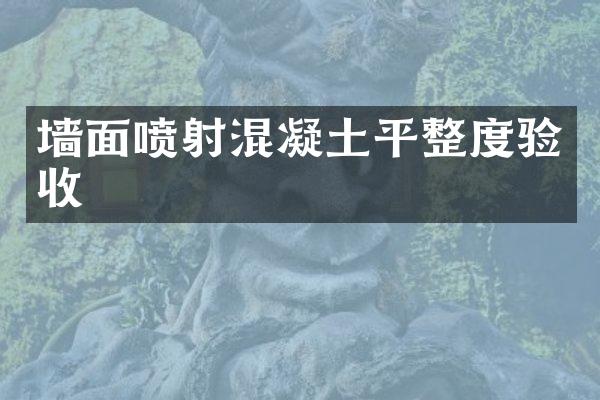 墙面喷射混凝土平整度验收