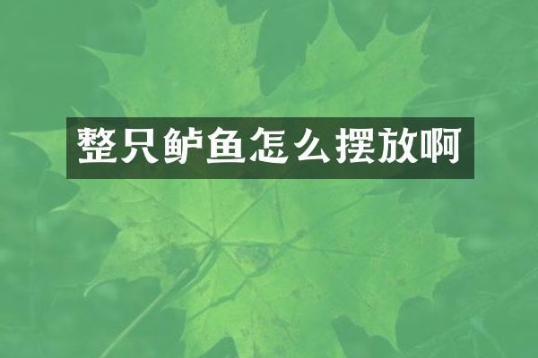 整只鲈鱼怎么摆放啊