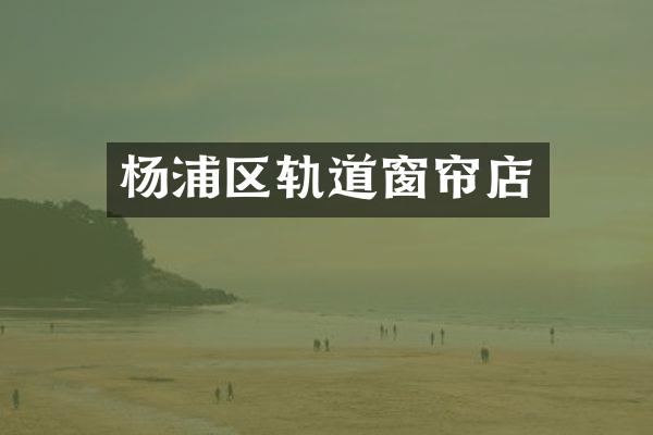 杨浦区轨道窗帘店