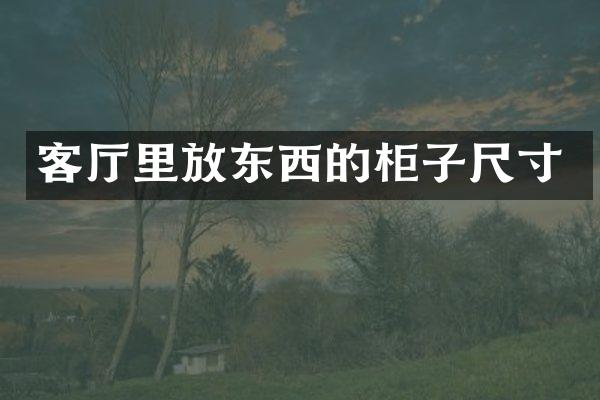 客厅里放东西的柜子尺寸