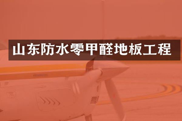 山东防水零甲醛地板工程