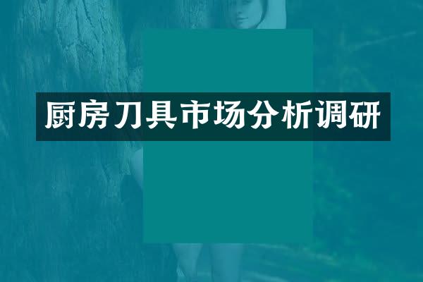 厨房刀具市场分析调研