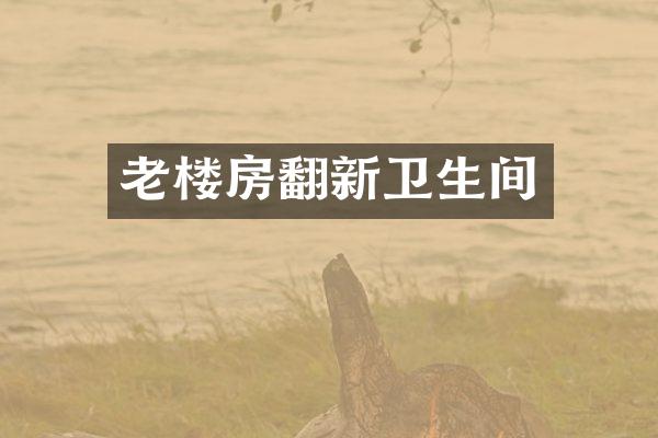 老楼房翻新卫生间