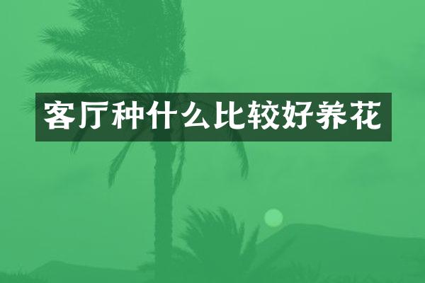 客厅种什么比较好养花