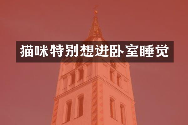 猫咪特别想进卧室睡觉