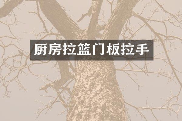 厨房拉篮门板拉手