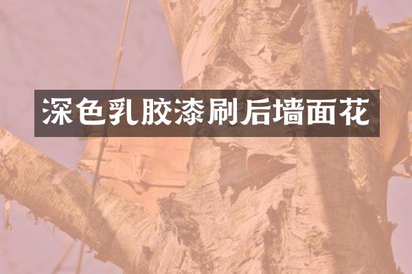 深色乳胶漆刷后墙面花