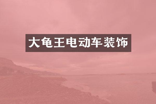 大龟王电动车装饰