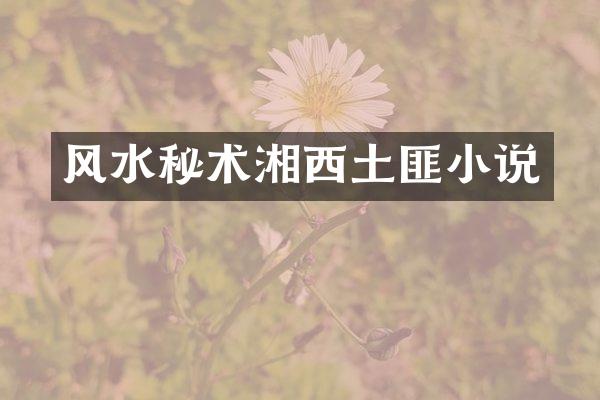 风水秘术湘西土匪小说
