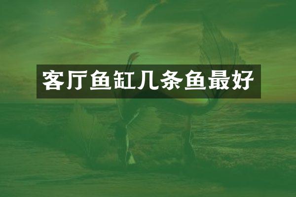客厅鱼缸几条鱼最好