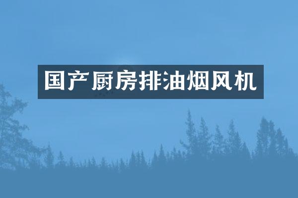 国产厨房排油烟风机