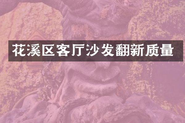 花溪区客厅沙发翻新质量