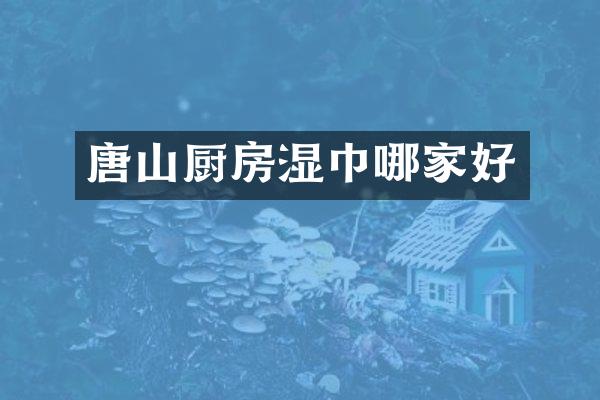 唐山厨房湿巾哪家好