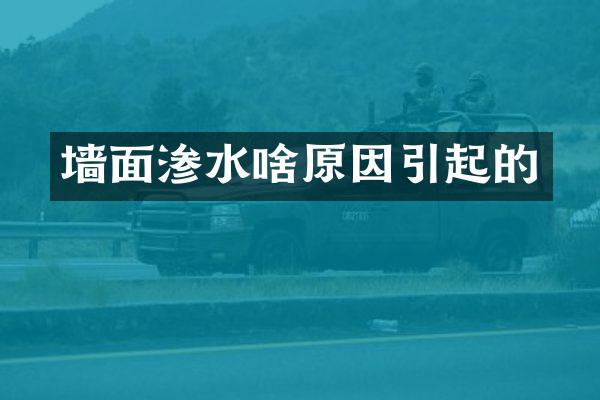 墙面渗水啥原因引起的