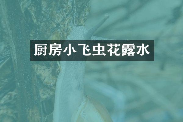 厨房小飞虫花露水