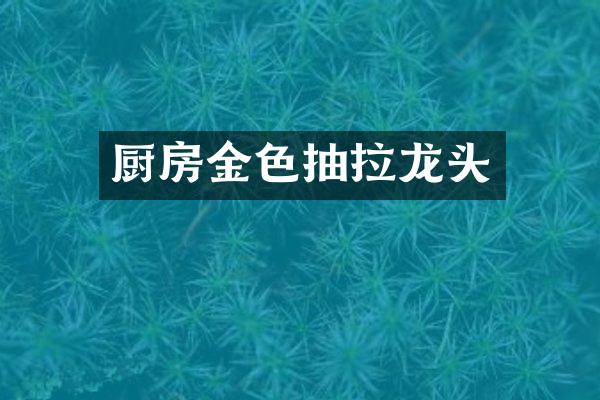 厨房金色抽拉龙头