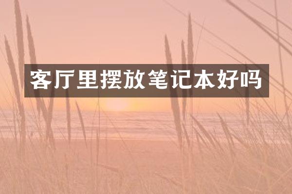 客厅里摆放笔记本好吗