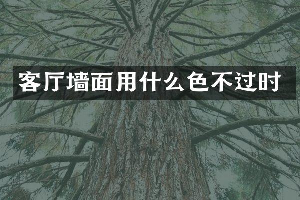 客厅墙面用什么色不过时