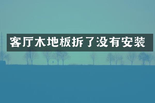 客厅木地板拆了没有安装