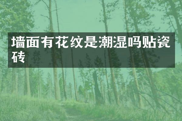 墙面有花纹是潮湿吗贴瓷砖