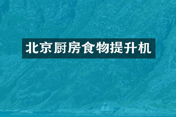 北京厨房食物提升机