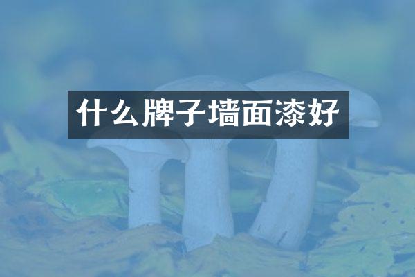 什么牌子墙面漆好