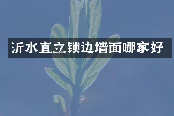 沂水直立锁边墙面哪家好