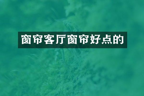 窗帘客厅窗帘好点的