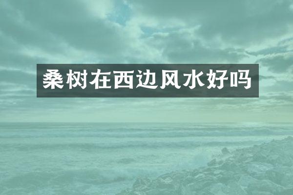 桑树在西边风水好吗