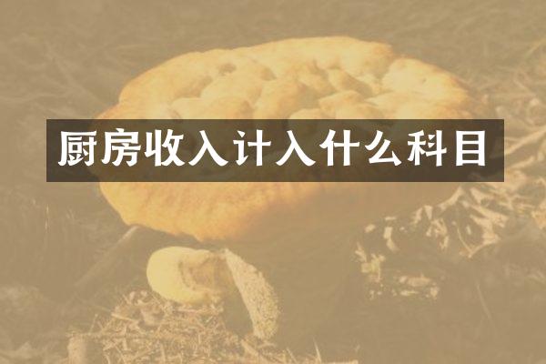 厨房收入计入什么科目