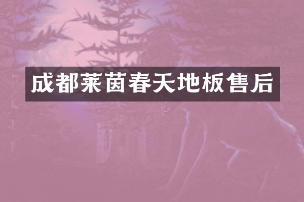 成都莱茵春天地板售后