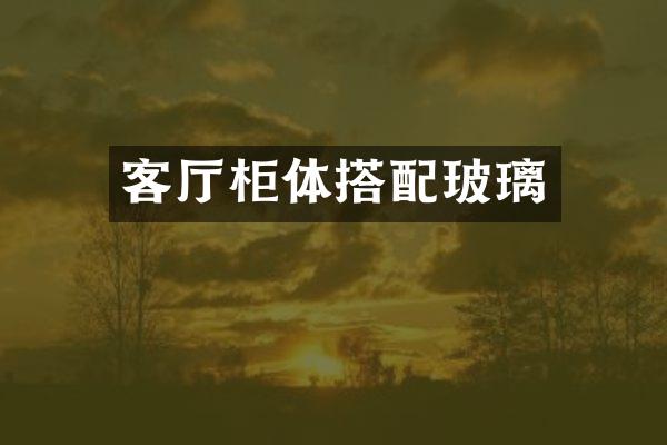 客厅柜体搭配玻璃